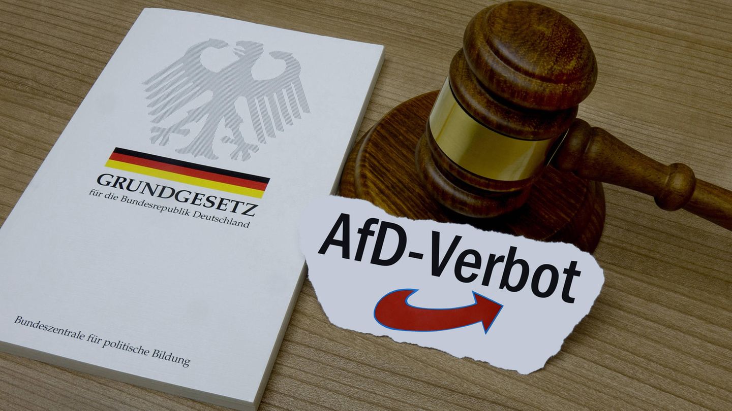 Das Grundgesetz neben dem AfD-Logo und einem Richterhammer