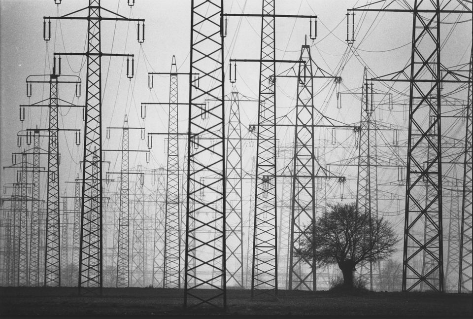 Deceased stern photographer: A tree, countless electricity pylons: With this photo, which illustrates the contrast between nature and technology, Moldvay won the World Press Award in the nature category in 1984 A tree, countless electricity pylons: with this photo, which illustrates the contrast between nature and technology, Moldvay won the World Press Award in the nature category in 1984