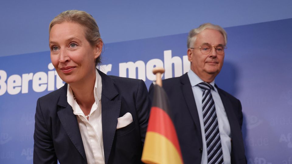 AfD-Netzwerktreffen in Potsdam: Welche Folgen die 