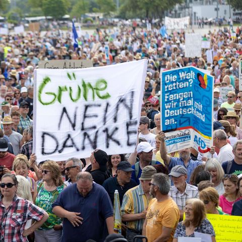Protestschilder gegen die Grünen bei einer Demo