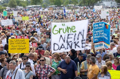 Protestschilder gegen die Grünen bei einer Demo