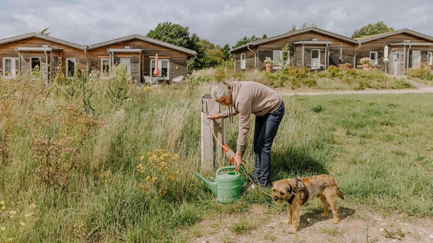 Ein Mann lässt Wasser in eine Gießkanne auf einer Wiese, neben ihm ein Hund Ein Mann lässt Wasser in eine Gießkanne auf einer Wiese, neben ihm ein Hund