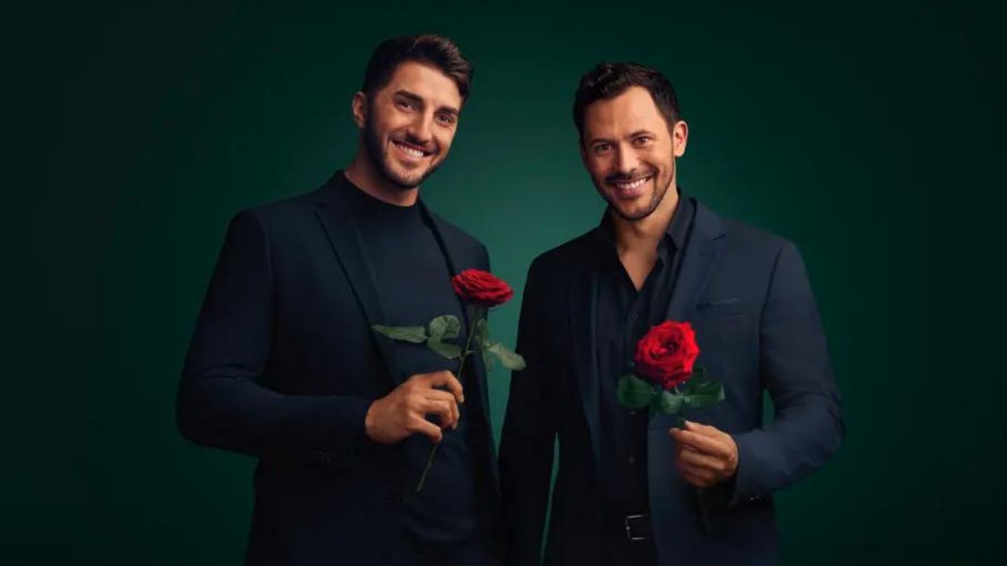 Bachelors