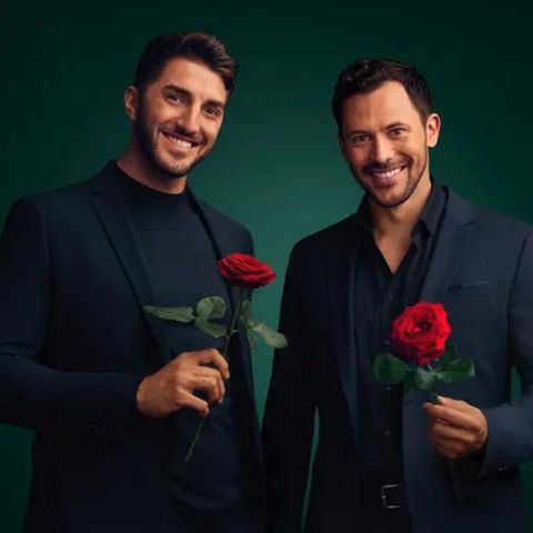 Bachelors