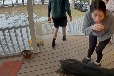 Hund bringt Familie "Geschenk" mit – und löst damit Würgereiz aus