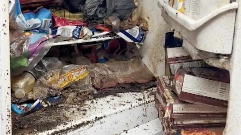 "So etwas Schmutziges hab ich noch nie gesehen": Ist das der ekligste Kühlschrank der Welt?