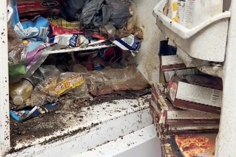 "So etwas Schmutziges hab ich noch nie gesehen": Ist das der ekligste Kühlschrank der Welt?
