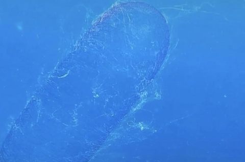 Mysteriöses Naturphänomen: Erkennen Sie, worum es sich hier handelt?
