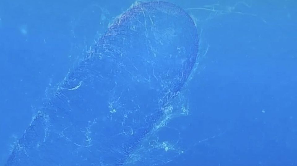 Mysteriöses Naturphänomen: Erkennen Sie, worum es sich hier handelt? Mysteriöses Naturphänomen: Erkennen Sie, worum es sich hier handelt?