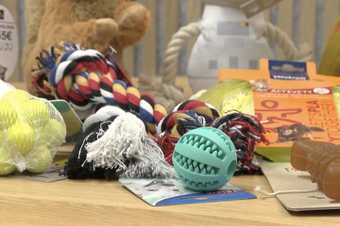 Produktvergleich: Hundespielzeuge im Ökotest – das sind die besten Bälle, Knochen und Stofftiere für Ihr Haustier
