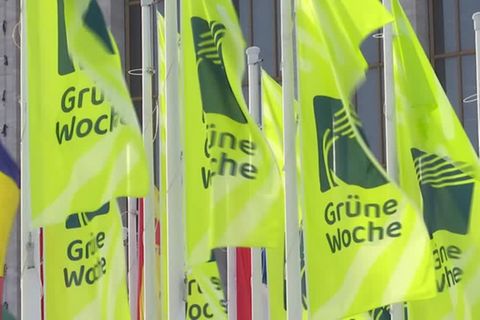 Video: Agrarsubventionen Thema bei der Grünen Woche