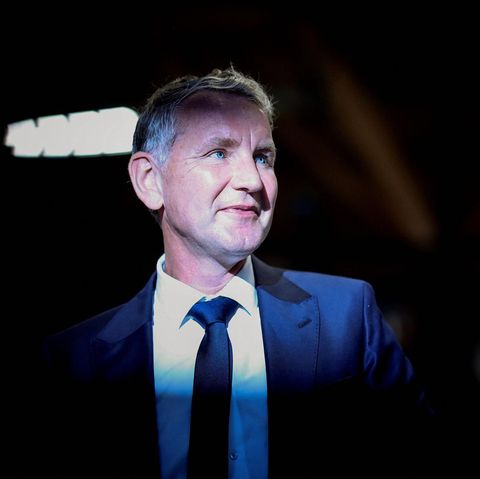 Björn Höcke, Landeschef der AfD-Thüringen