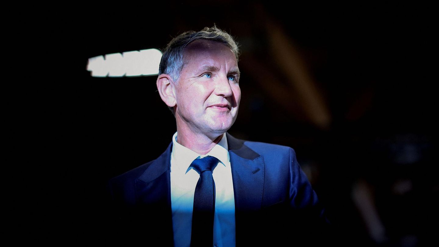Björn Höcke, Landeschef der AfD-Thüringen
