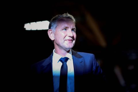 Björn Höcke, Landeschef der AfD-Thüringen