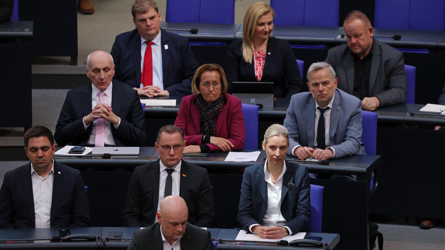 AfD-Fraktion