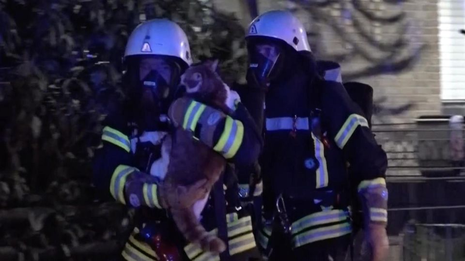 Feuerwehr hält gerettete Katze in den Armen