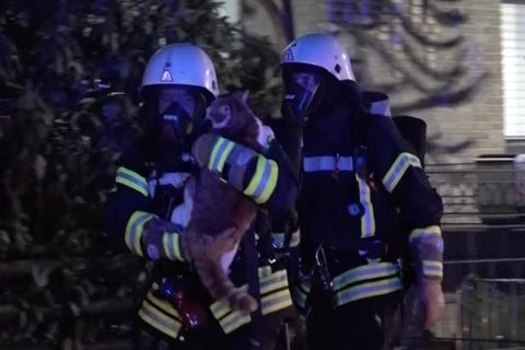 Feuerwehr hält gerettete Katze in den Armen