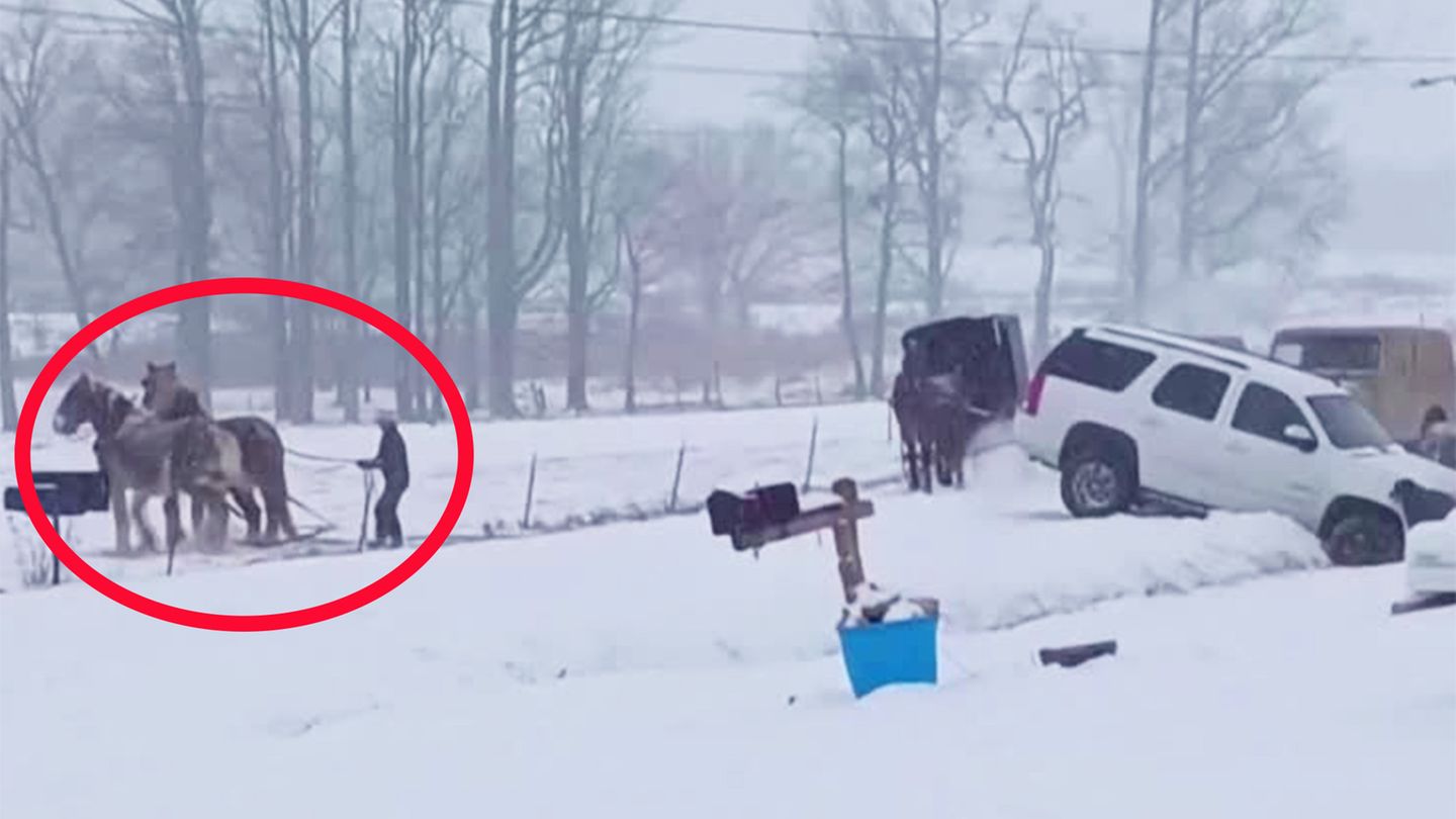 Geländewagen auf Abwegen: Das sind echte PS: Amischer Nachbar hilft SUV-Fahrer mit Pferden aus der Patsche