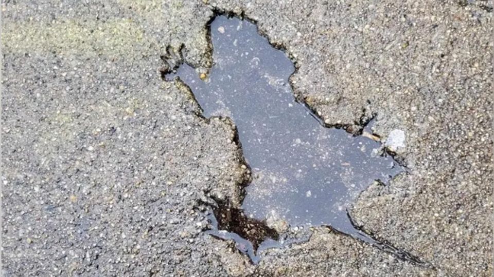 Abdruck einer Ratte im Gehweg wird zur Attraktion
