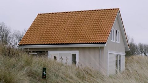 Ein kleines, gemütliches Ferienhaus in den Dünen der Niederlande
