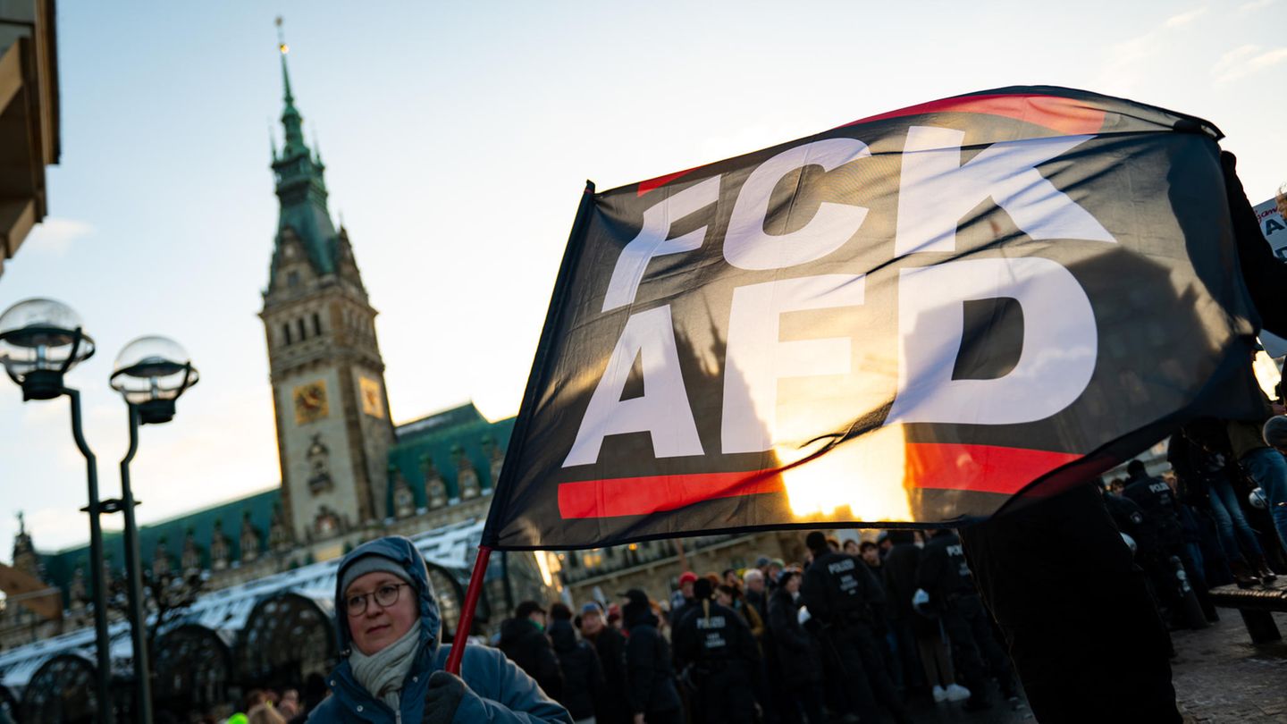 Nach "Correctiv"-Enthüllungen: Demo Gegen Rechts In Hamburg: Es Kommen ...