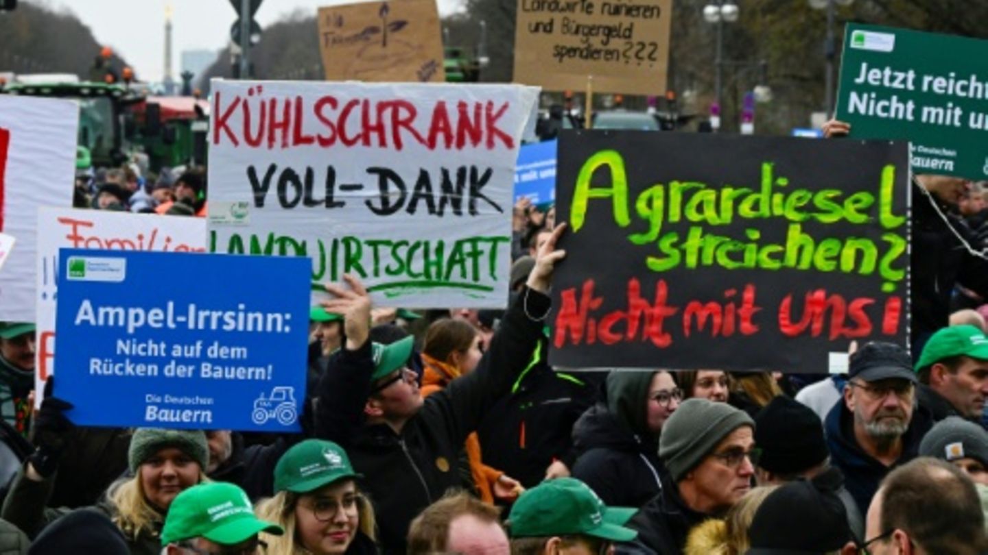 Rukwied Kündigt Neue Bundesweite Bauern-Proteste An | STERN.de