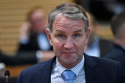 AfD-Fraktionschef Björn Höcke sieht, was er sehen will
