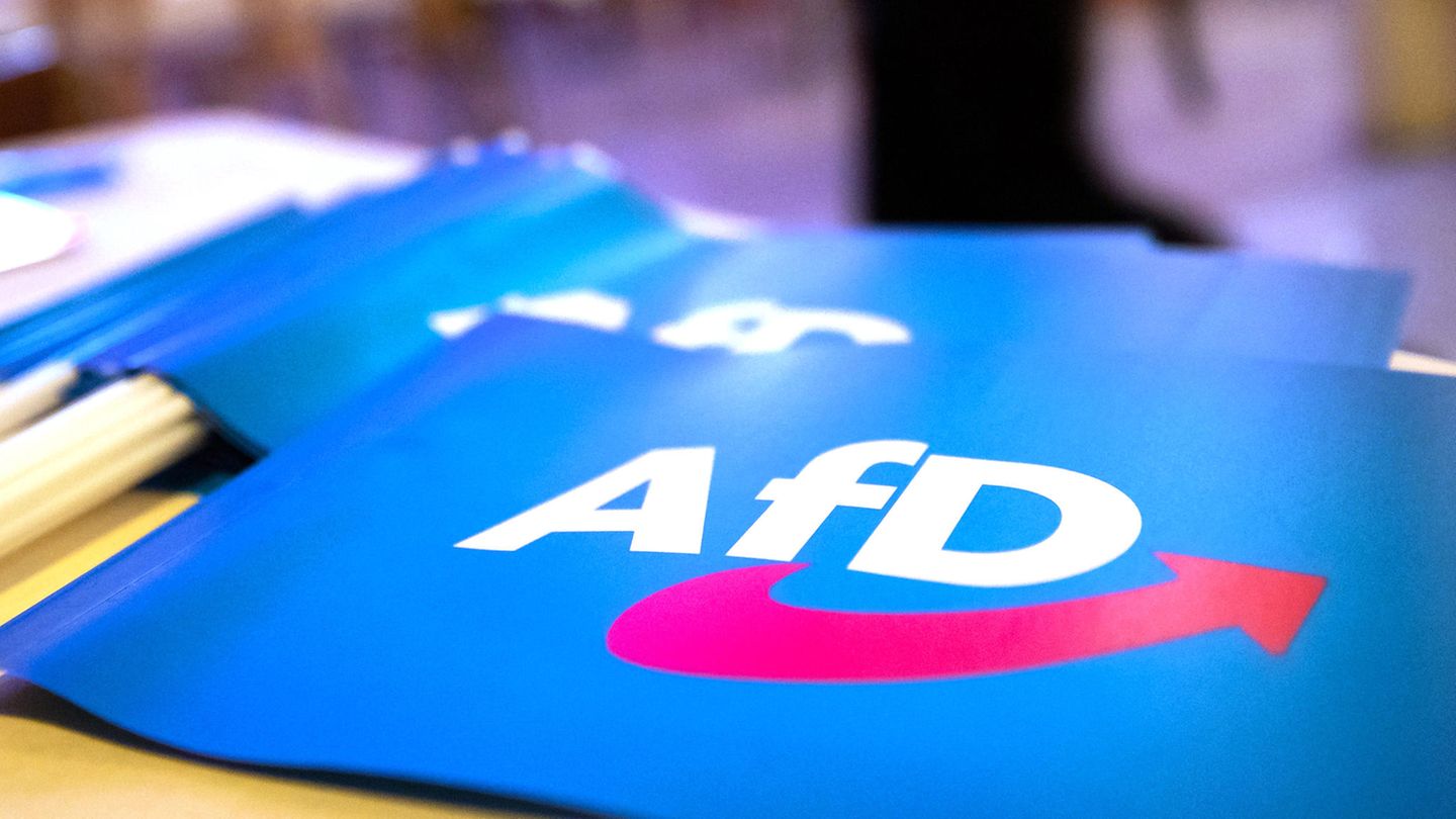 Fähnchen mit dem Logo der AfD liegen auf einem Tisch
