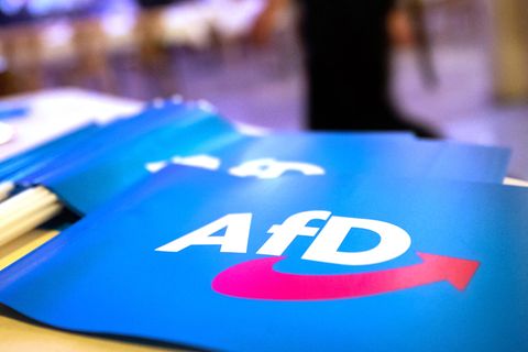 Fähnchen mit dem Logo der AfD liegen auf einem Tisch