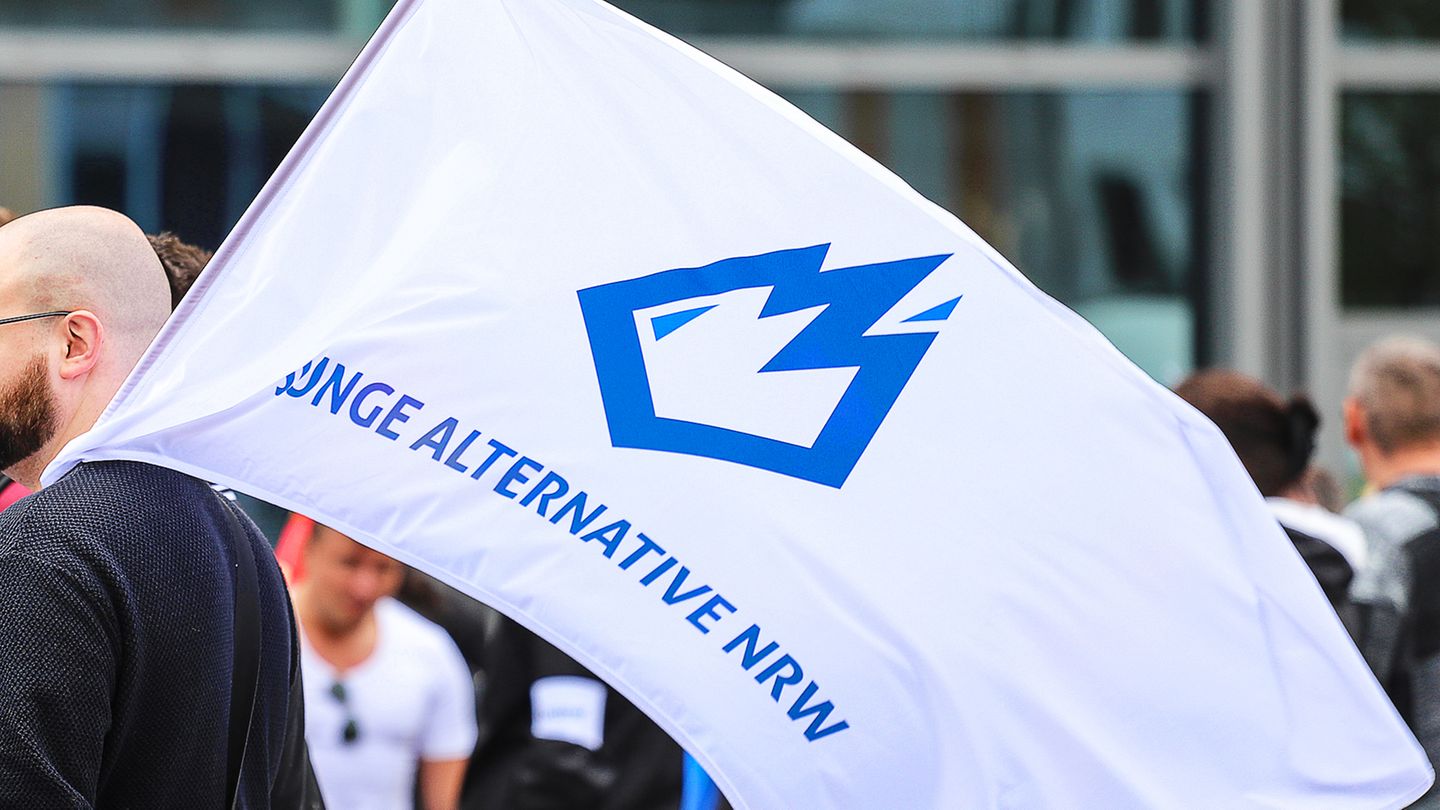 AfD young talent: Why a ban on the Junge Alternative is being discussed