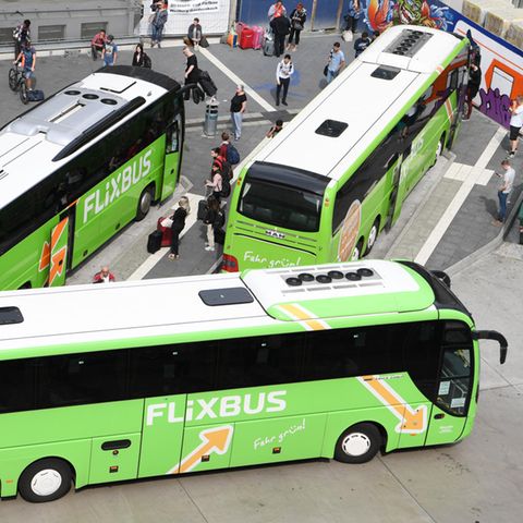 Drei Flix-Busse warten auf Reisende