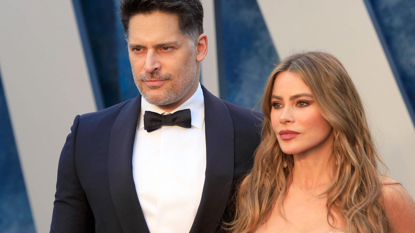 Sofia Vergara talks about her divorce: 