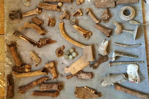 Ein englischer Klempner machte bei der Renovierung eines 200 Jahre alten Landhauses in Devon eine erschreckende Entdeckung.