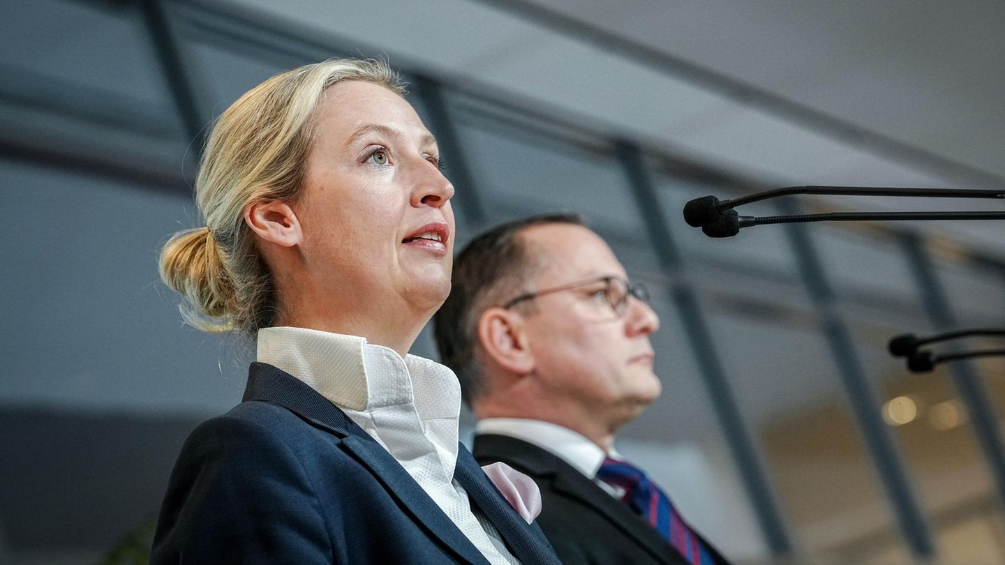AfD: The soft positions of the right-wing populists AfD: The soft positions of the right-wing populists