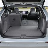 VW Golf 8 Variant (MJ 2024).jpg