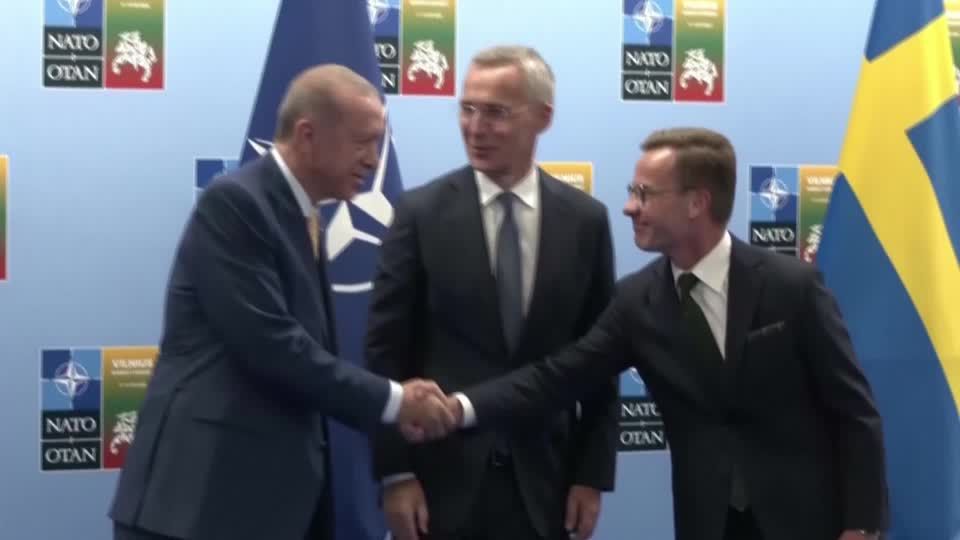 Video: Türkisches Parlament billigt Aufnahme Schwedens in die Nato