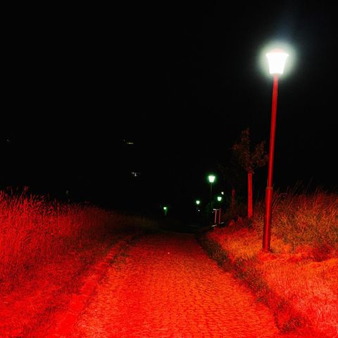 Ein rot beleuchteter Feldweg