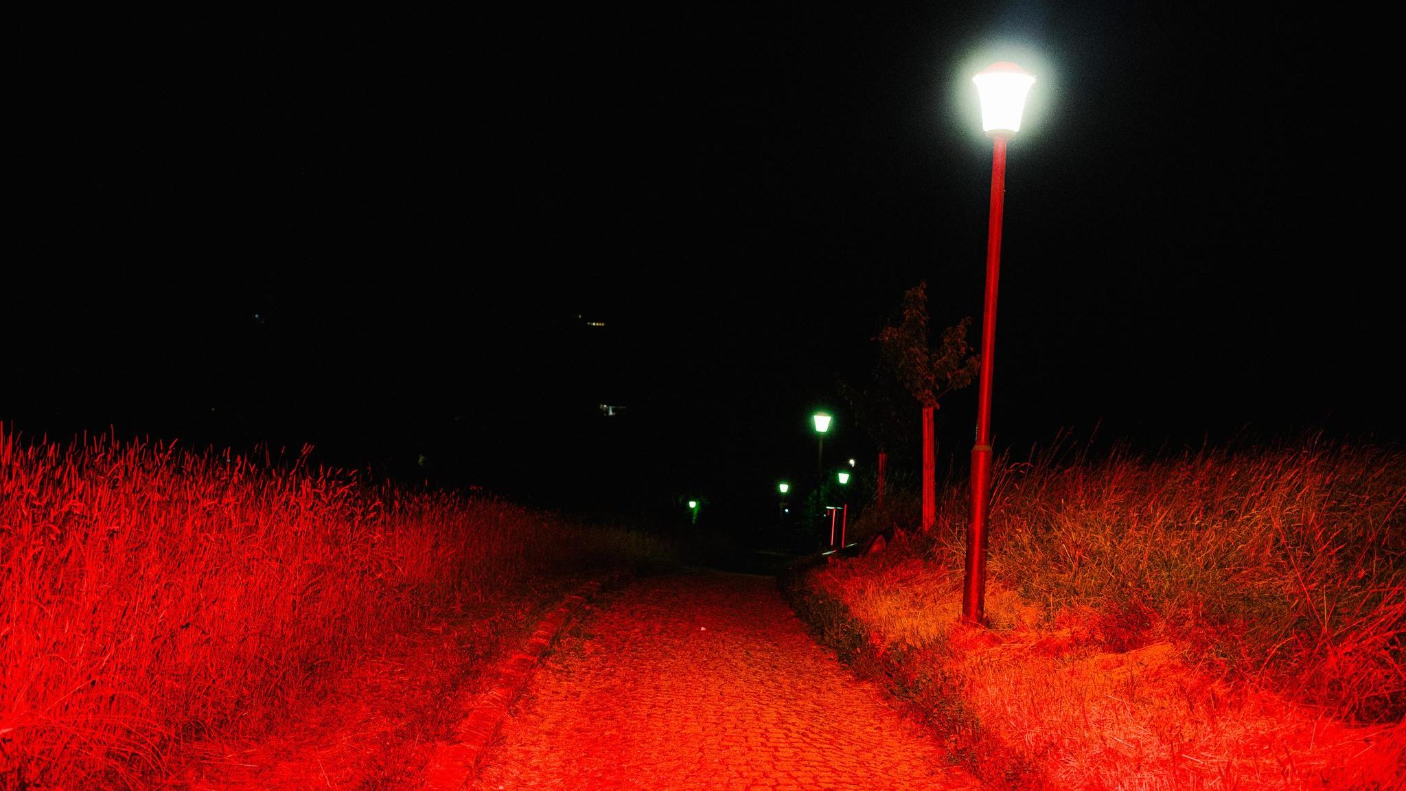 Ein rot beleuchteter Feldweg