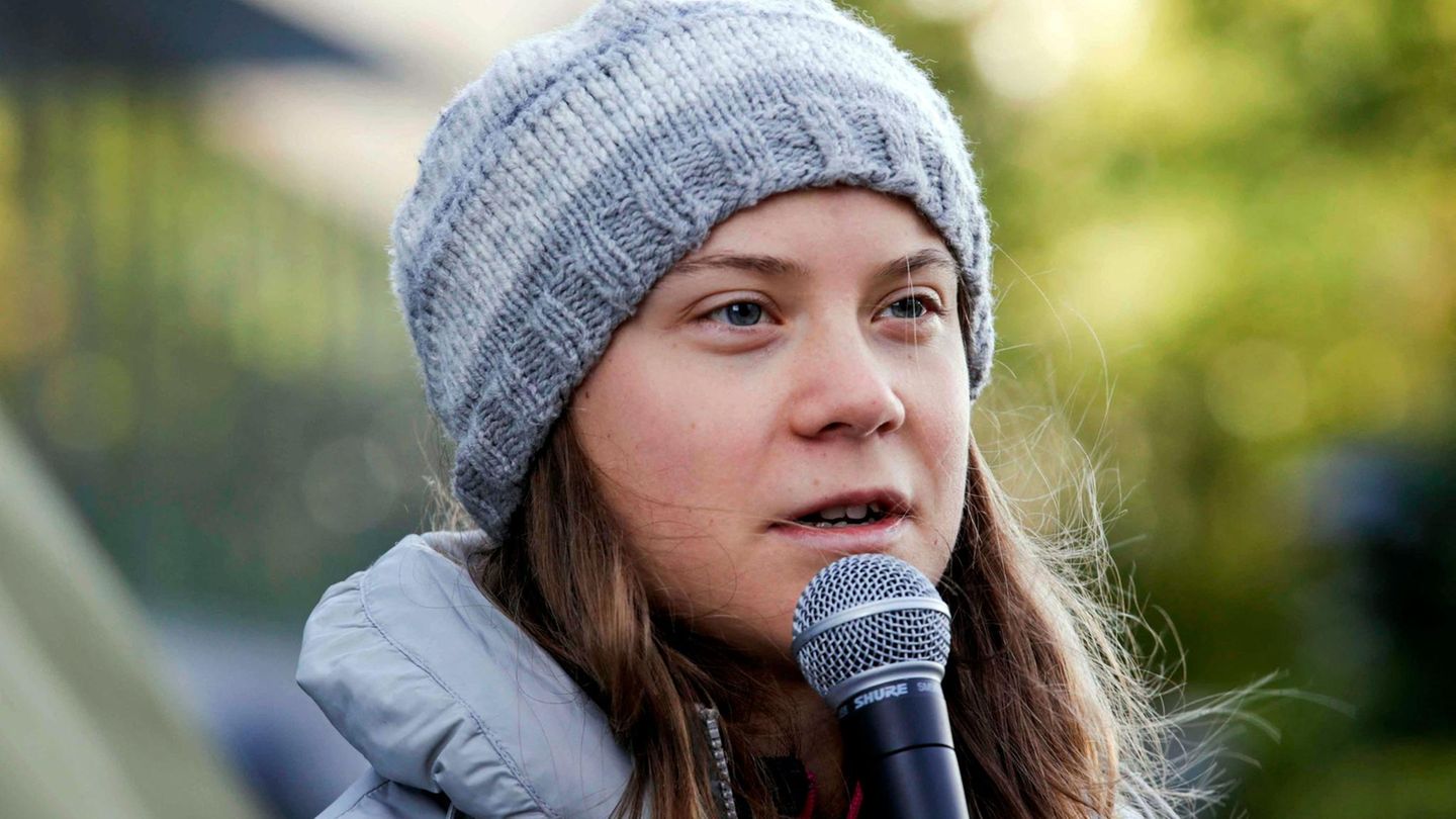 Greta Thunberg: Climate activist at the pro-Palestine demo in Leipzig