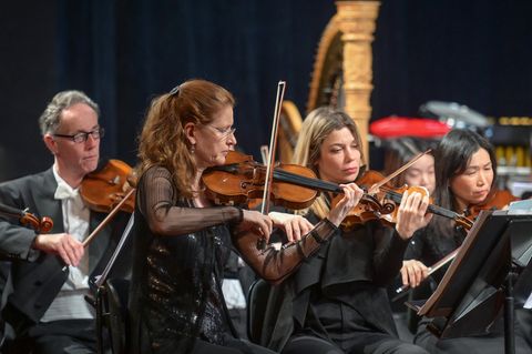 Vier Streicher eines Orchesters