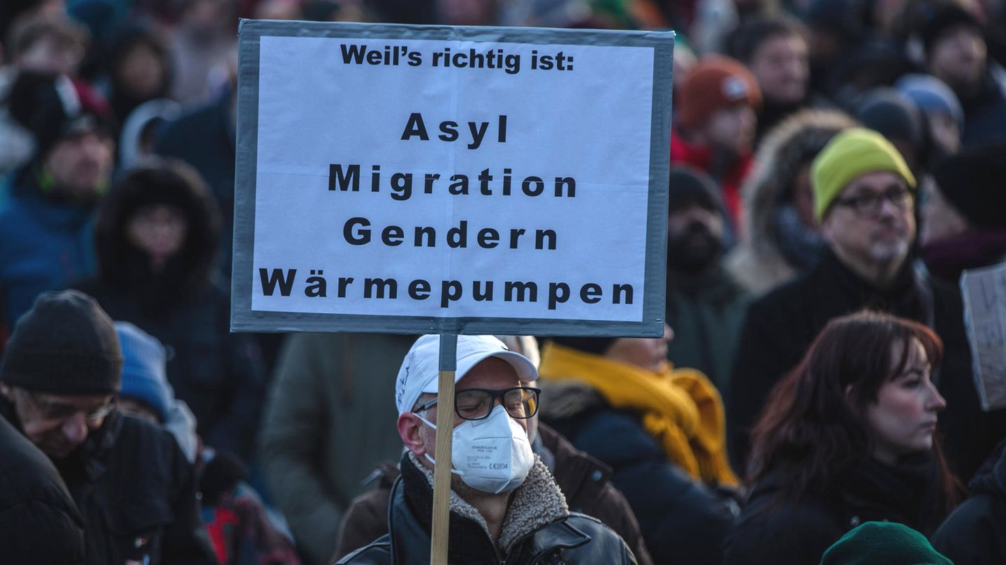 AfD Demos