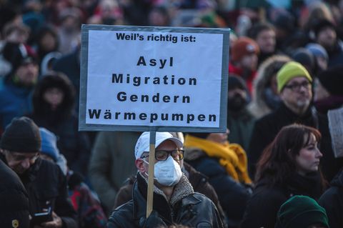AfD Demos