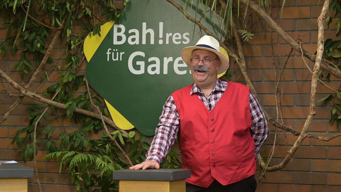 Dschungelcamp