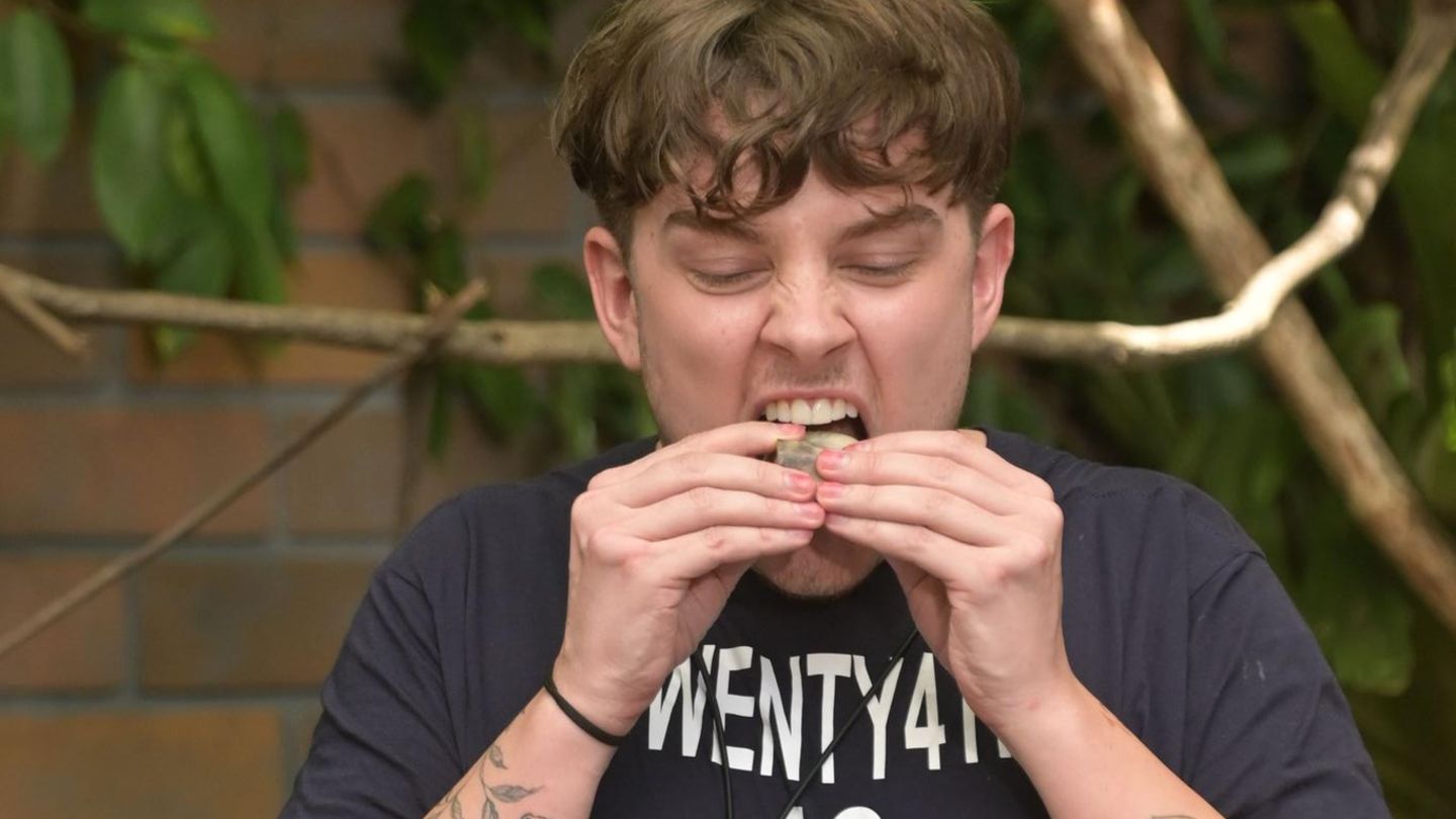 "Ich bin ein Star": Twenty4tim bekommt es direkt mit einer besonders leckeren Speise zu tun. Er muss einen Ziegenanus essen. "Anus ist mein Thema. Ist das alles desinfiziert", fragt er, bevor er alles isst und einen Stern gewinnt. "Ich habe immer gesagt: 'Wenn das Arschloch nicht behaart ist, esse ich es'", so der Influencer stolz. Sonja Zietlow erwidert: "Super, wir haben es extra vorher geshaved." Twenty4tim bekommt es direkt mit einer besonders leckeren Speise zu tun. Er muss einen Ziegenanus essen. "Anus ist mein Thema. Ist das alles desinfiziert", fragt er, bevor er alles isst und einen Stern gewinnt. "Ich habe immer gesagt: 'Wenn das Arschloch nicht behaart ist, esse ich es'", so der Influencer stolz. Sonja Zietlow erwidert: "Super, wir haben es extra vorher geshaved."