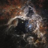 Die Sternentstehungsregion des Tarantelnebels