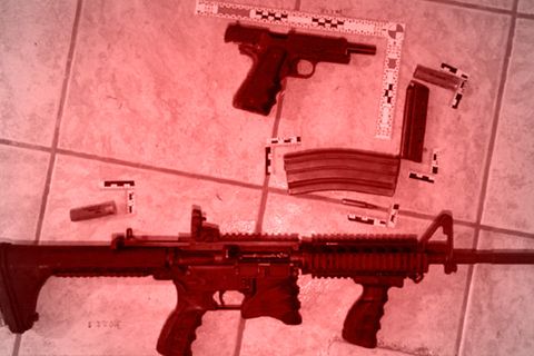 Die Reichsbürger-Akte: Diese Waffen horteten die mutmaßlichen Reichsbürger-Terroristen um Prinz Reuß