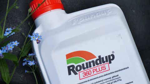 Bei dem Streit geht es um das Mittel Roundup. Hersteller ist das von Bayer vor einigen Jahren aufgekaufte US-Unternehmen Monsanto.