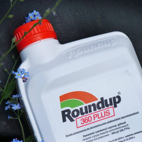 Bei dem Streit geht es um das Mittel Roundup. Hersteller ist das von Bayer vor einigen Jahren aufgekaufte US-Unternehmen Monsanto.