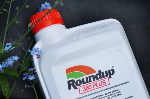 Bei dem Streit geht es um das Mittel Roundup. Hersteller ist das von Bayer vor einigen Jahren aufgekaufte US-Unternehmen Monsanto.