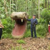 Kim Virginia wurde von den Zuschauern erneut in die Dschungelprüfung gewählt. "Im Darm von Cobra 11" ist die Aufgabe betitelt. Dr. Bob erklärt die Regeln: Kim muss sich kopfüber in den Rachen der Schlange stürzen und in den Gedärmen elf Sterne einsammeln.